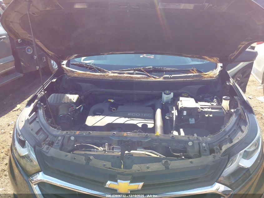 2019 Chevrolet Equinox Ls VIN: 2GNAXHEV3K6173905 Lot: 43906732