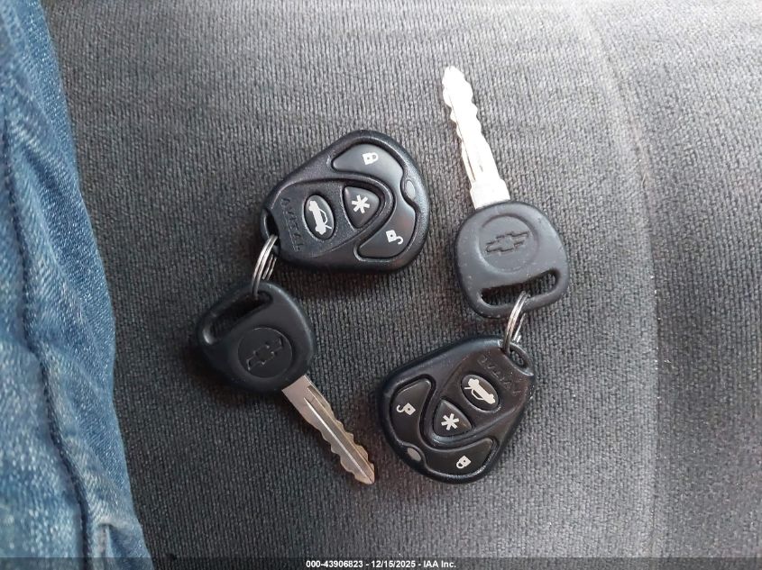 2003 Chevrolet Silverado 1500 Ls VIN: 1GCEK19T13E268758 Lot: 43906823