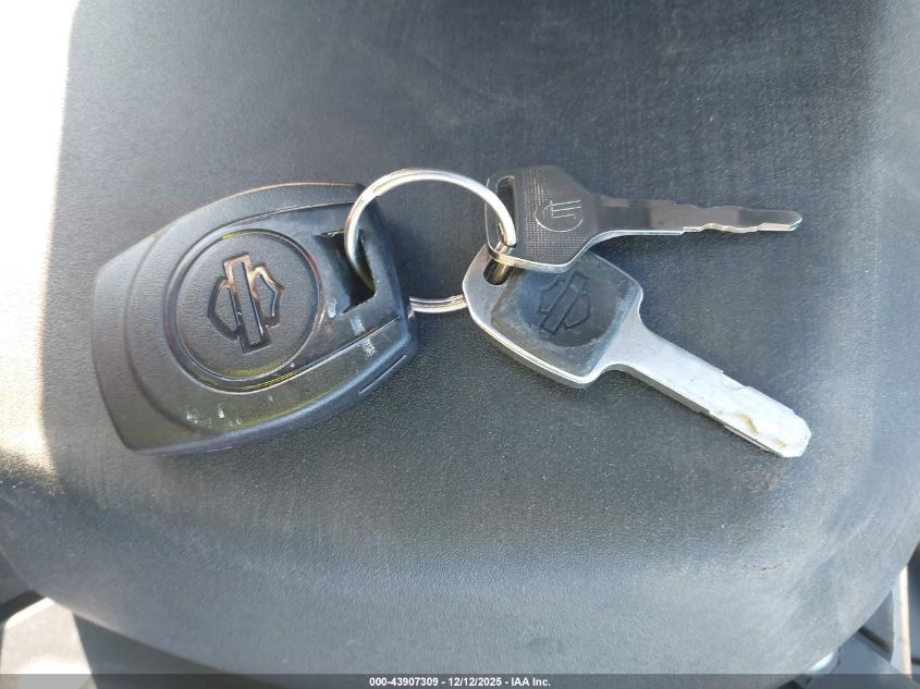 2024 Harley-Davidson Ra1250 S VIN: 1HD1ZES15RB304776 Lot: 43907309