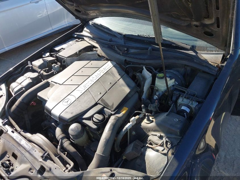 2003 Mercedes-Benz Slk 320 VIN: WDBKK65F83F286599 Lot: 43907384