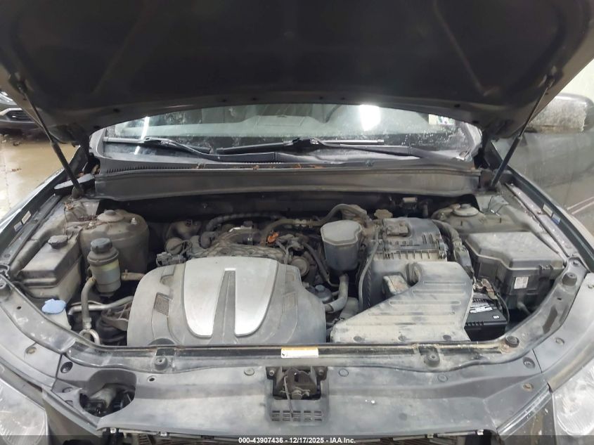 2010 Hyundai Santa Fe Limited V6 VIN: 5NMSKDAGXAH376101 Lot: 43907436