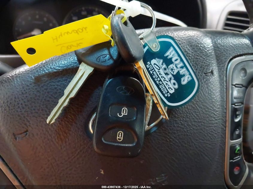 2010 Hyundai Santa Fe Limited V6 VIN: 5NMSKDAGXAH376101 Lot: 43907436