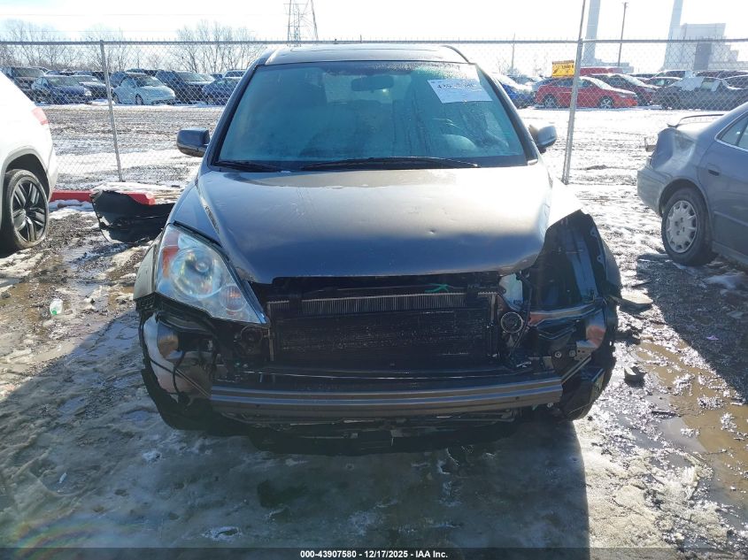 2009 Honda Cr-V Ex-L VIN: 5J6RE48799L025096 Lot: 43907580