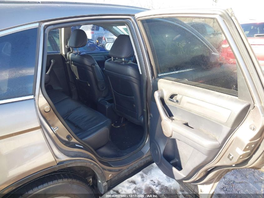 2009 Honda Cr-V Ex-L VIN: 5J6RE48799L025096 Lot: 43907580