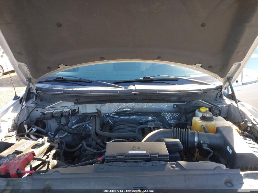 2014 Ford F-150 Stx VIN: 1FTFX1EF1EKG20490 Lot: 43907714