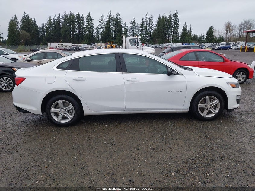 1G1ZD5ST0RF153514 2024 CHEVROLET MALIBU photo no. 13