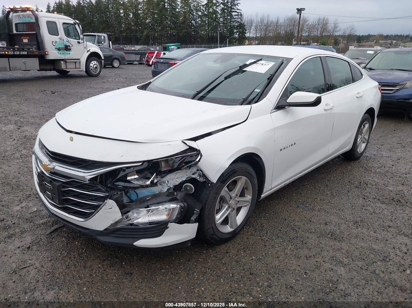 1G1ZD5ST0RF153514 2024 CHEVROLET MALIBU photo no. 2