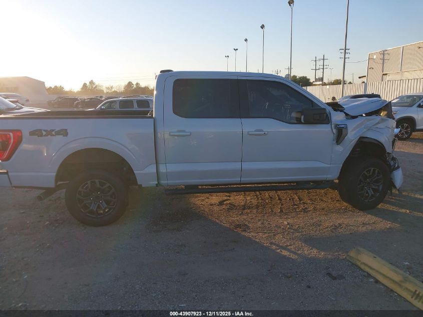 2021 Ford F-150 Xlt VIN: 1FTFW1E57MKE81328 Lot: 43907923