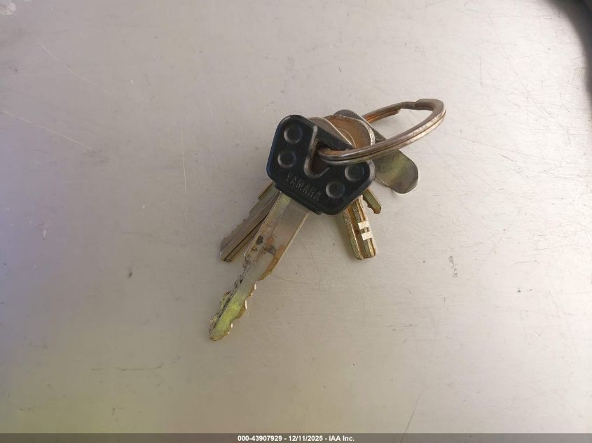 2021 Yamaha Mtn1000 C VIN: JYARN48Y0MA000926 Lot: 43907929