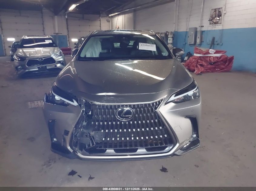 2024 Lexus Nx 350 Premium VIN: 2T2GGCEZXRC058991 Lot: 43908031