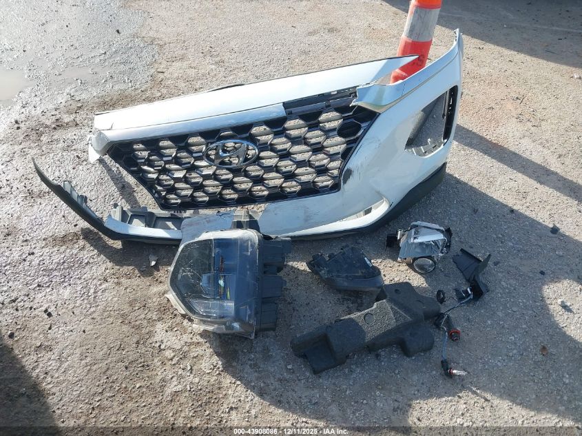 2020 Hyundai Santa Fe Sel VIN: 5NMS33AD9LH199315 Lot: 43908086