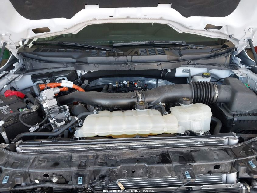 2024 Ford F-150 Xlt VIN: 1FTFW3LD8RFA32830 Lot: 43908465