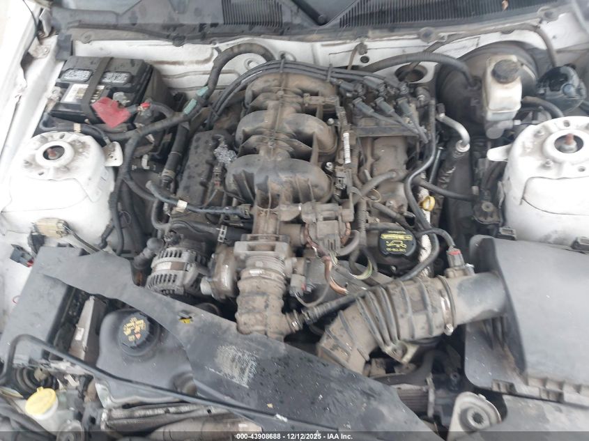 2010 Ford Mustang V6/V6 Premium VIN: 1ZVBP8EN3A5162987 Lot: 43908688