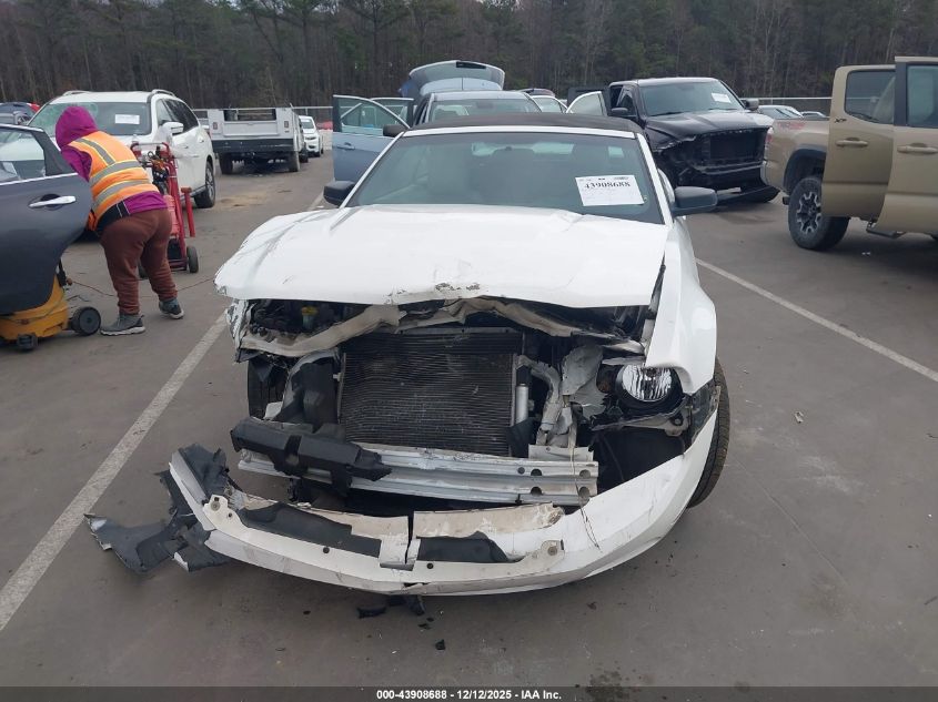 2010 Ford Mustang V6/V6 Premium VIN: 1ZVBP8EN3A5162987 Lot: 43908688