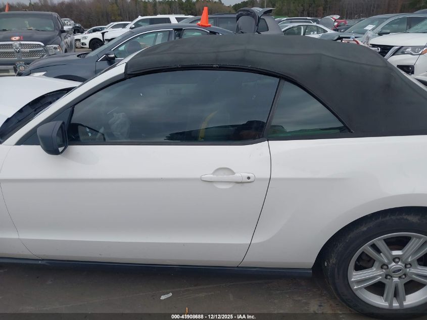 2010 Ford Mustang V6/V6 Premium VIN: 1ZVBP8EN3A5162987 Lot: 43908688