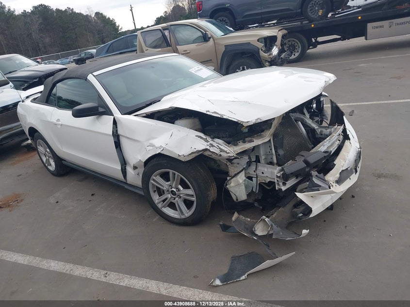 1ZVBP8EN3A5162987 FORD MUSTANG Photo 1