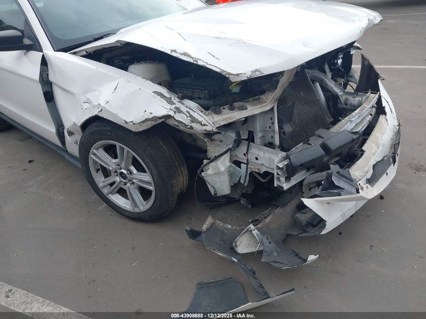 2010 Ford Mustang V6/V6 Premium VIN: 1ZVBP8EN3A5162987 Lot: 43908688