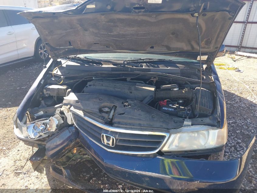 2004 Honda Odyssey Ex-L VIN: 5FNRL18984B067704 Lot: 43908774