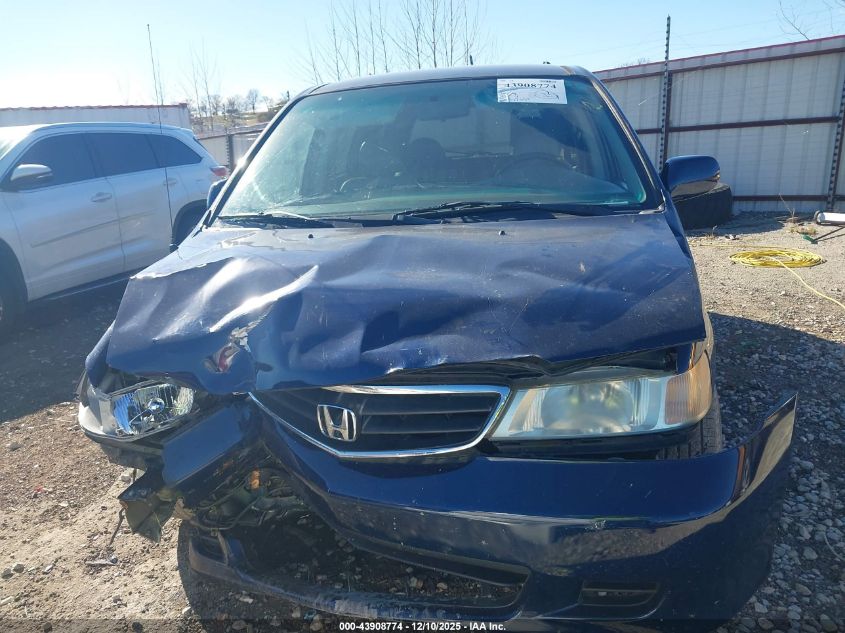 2004 Honda Odyssey Ex-L VIN: 5FNRL18984B067704 Lot: 43908774