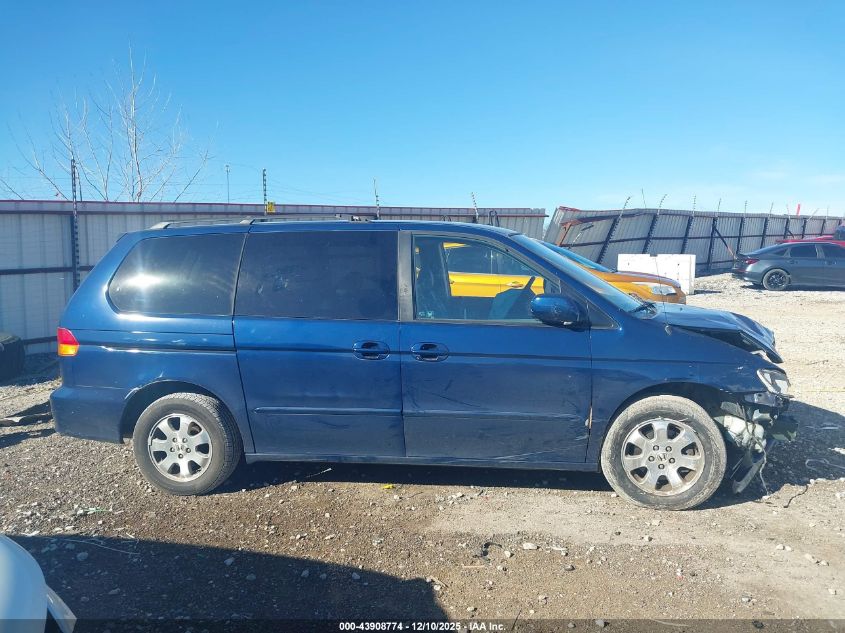 2004 Honda Odyssey Ex-L VIN: 5FNRL18984B067704 Lot: 43908774