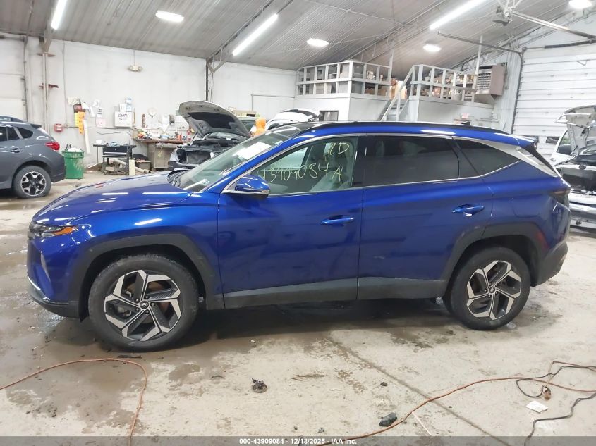 2024 Hyundai Tucson Limited VIN: 5NMJECDE4RH296473 Lot: 43909084