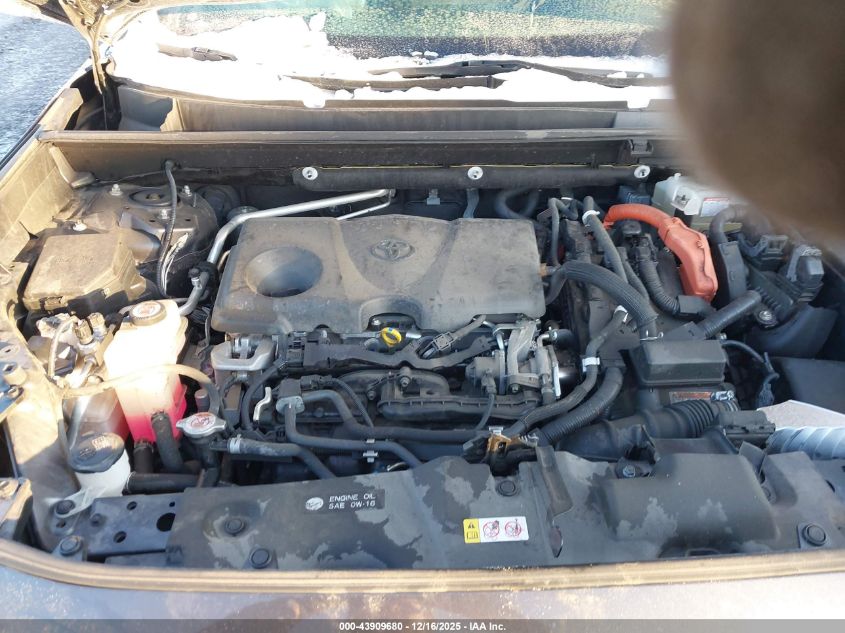 2019 Toyota Rav4 Hybrid Xse VIN: JTMEWRFV5KJ016459 Lot: 43909680