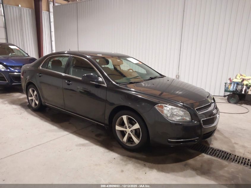 CHEVROLET MALIBU 1LT
