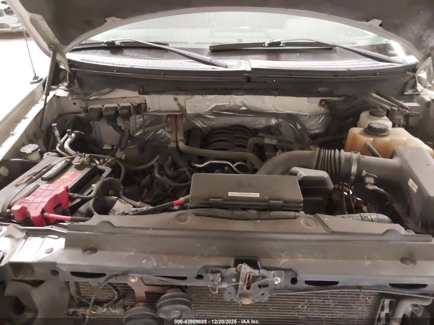 2013 Ford F-150 Xlt VIN: 1FTFW1EF4DFB83966 Lot: 43909889