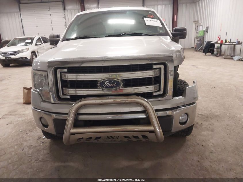 2013 Ford F-150 Xlt VIN: 1FTFW1EF4DFB83966 Lot: 43909889