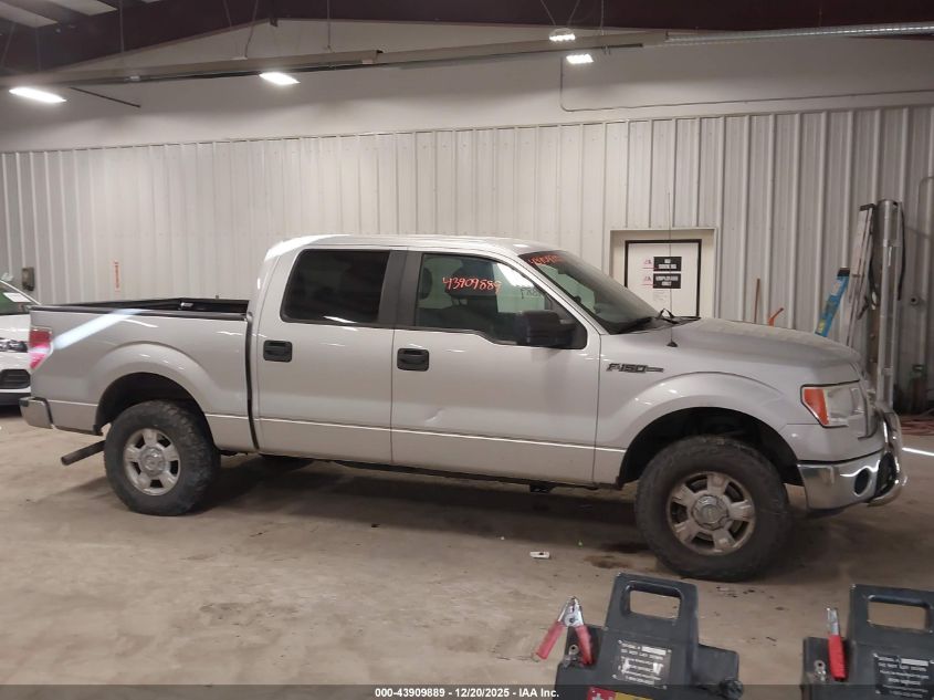 2013 Ford F-150 Xlt VIN: 1FTFW1EF4DFB83966 Lot: 43909889