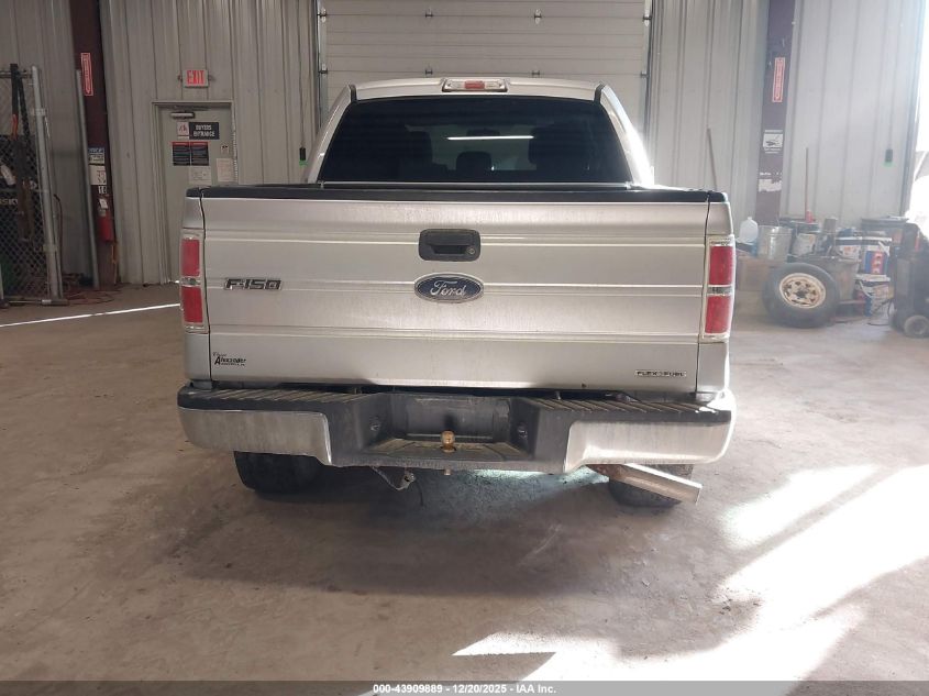 2013 Ford F-150 Xlt VIN: 1FTFW1EF4DFB83966 Lot: 43909889