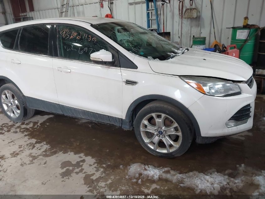 FORD ESCAPE SEL
