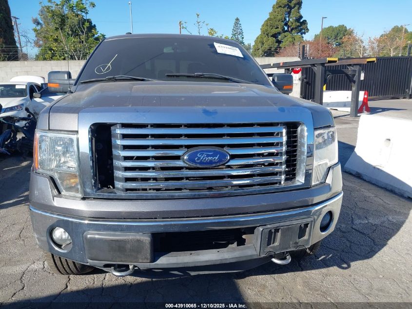 2012 Ford F-150 Xlt VIN: 1FTFW1ET6CFB43554 Lot: 43910065
