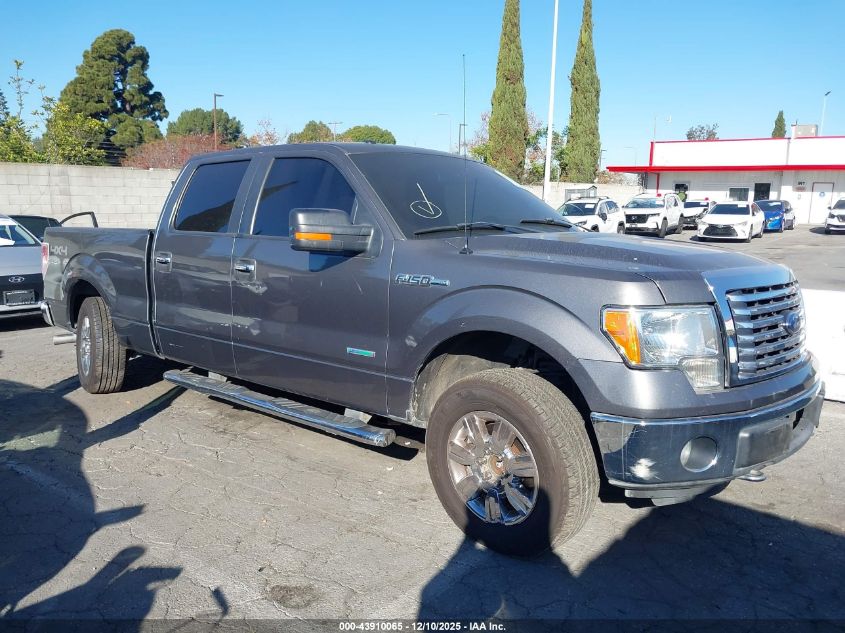 2012 Ford F-150 Xlt VIN: 1FTFW1ET6CFB43554 Lot: 43910065