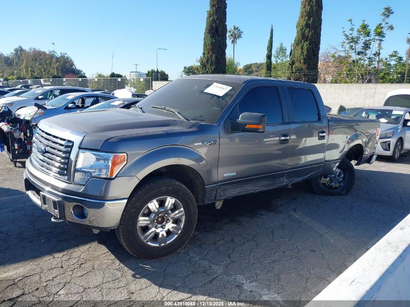 2012 Ford F-150 Xlt VIN: 1FTFW1ET6CFB43554 Lot: 43910065