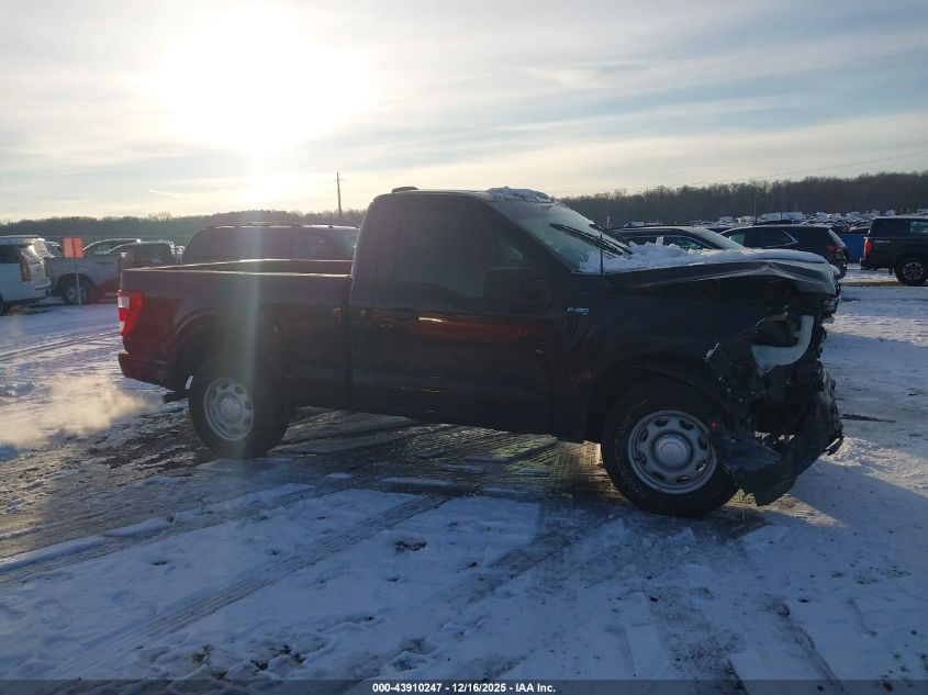 2021 Ford F-150 Xl VIN: 1FTMF1CB9MKD07146 Lot: 43910247