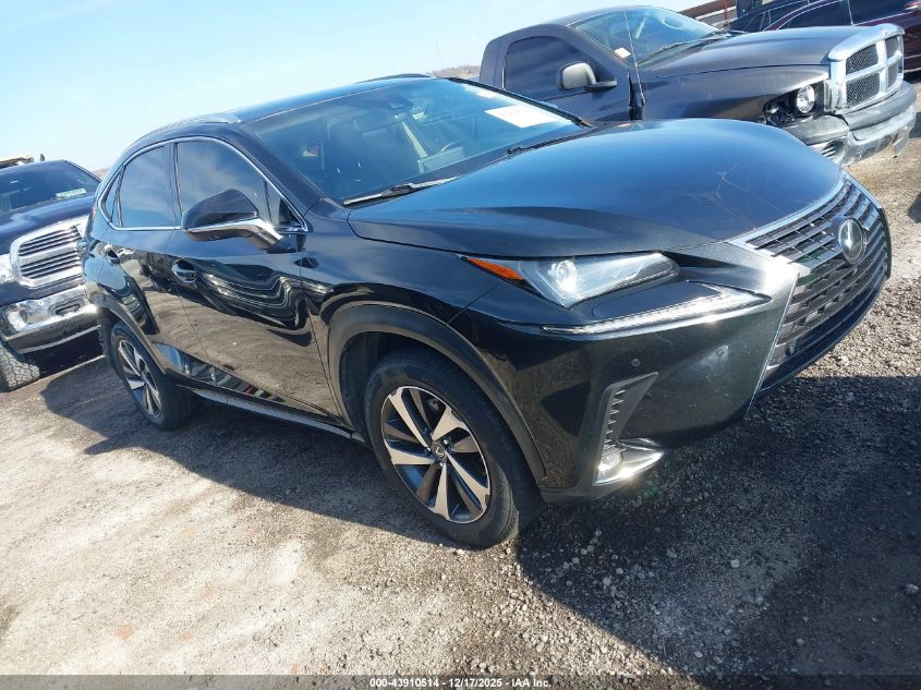 2019 Lexus Nx 300 VIN: JTJBARBZ2K2203756 Lot: 43910514