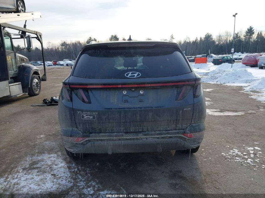 2023 Hyundai Tucson Sel VIN: KM8JBCAE8PU247419 Lot: 43910819