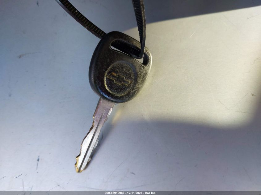 2002 Chevrolet Silverado 1500 Ls VIN: 2GCEC19V221168795 Lot: 43910983