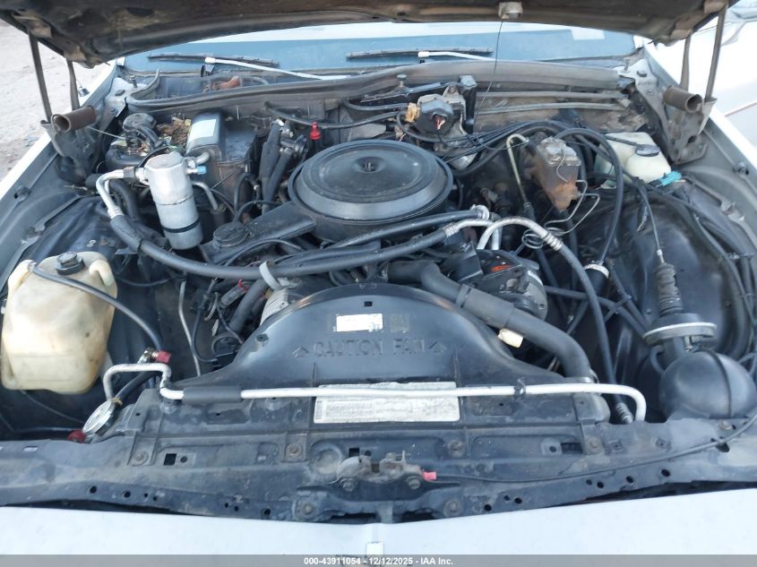 1985 Chevrolet Caprice Classic VIN: 1G1BN35H4FX114313 Lot: 43911054