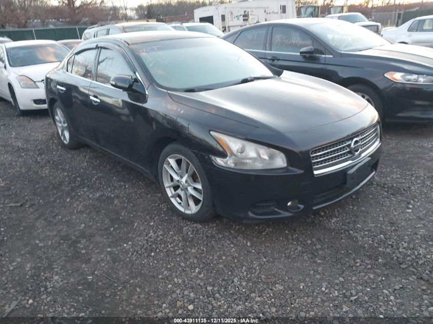 NISSAN MAXIMA 3.5 SV