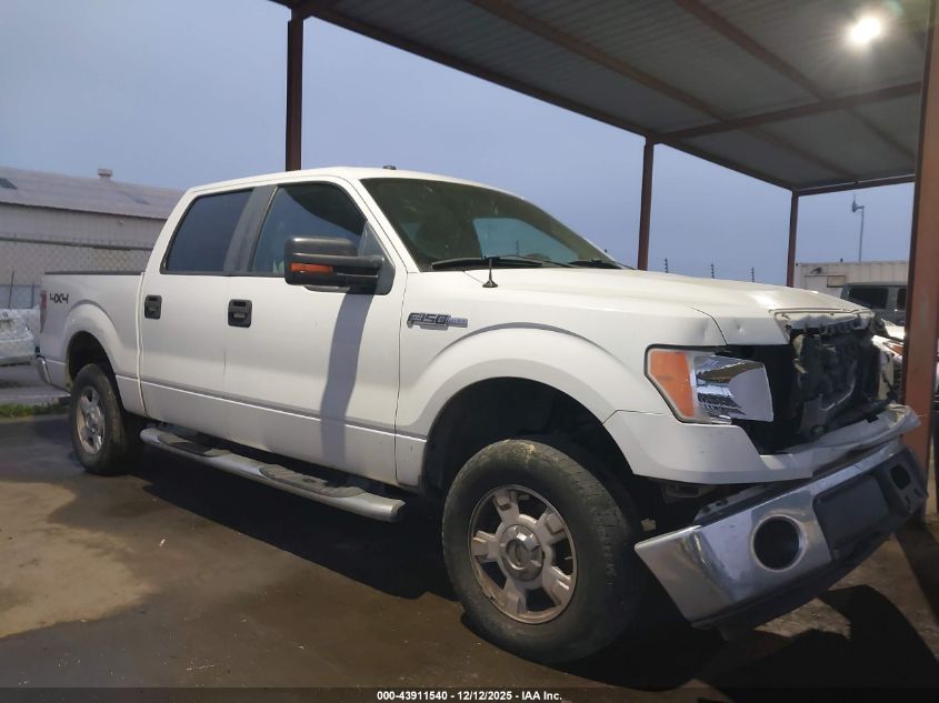 2009 Ford F-150 Fx4/King Ranch/Lariat/Platinum/Xl/Xlt VIN: 1FTPW14V59FA11319 Lot: 43911540