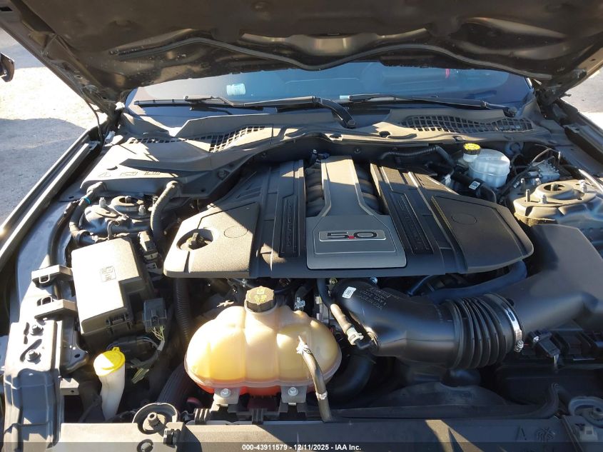 2019 Ford Mustang Gt VIN: 1FA6P8CF9K5196049 Lot: 43911579