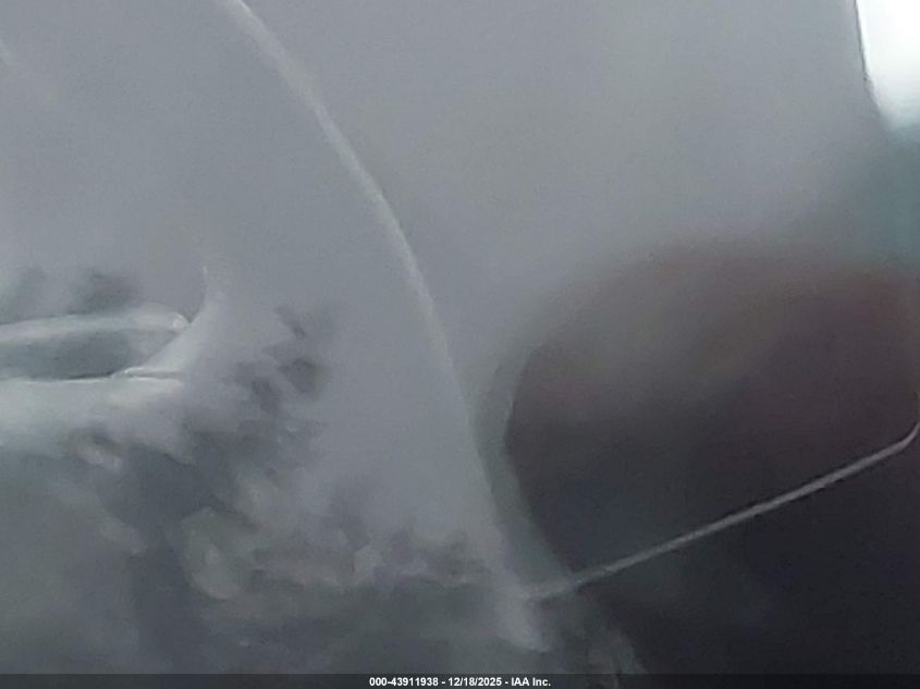 2025 Tesla Model Y Long Range Dual Motor Rear-Wheel Drive VIN: 7SAYGDEDXSF243002 Lot: 43911938