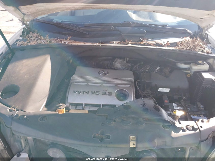 2T2GA31U66C047557 2006 LEXUS RX photo no. 10
