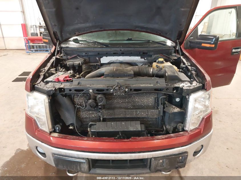 2014 Ford F-150 Xlt VIN: 1FTFW1ET0EKE70431 Lot: 43912113