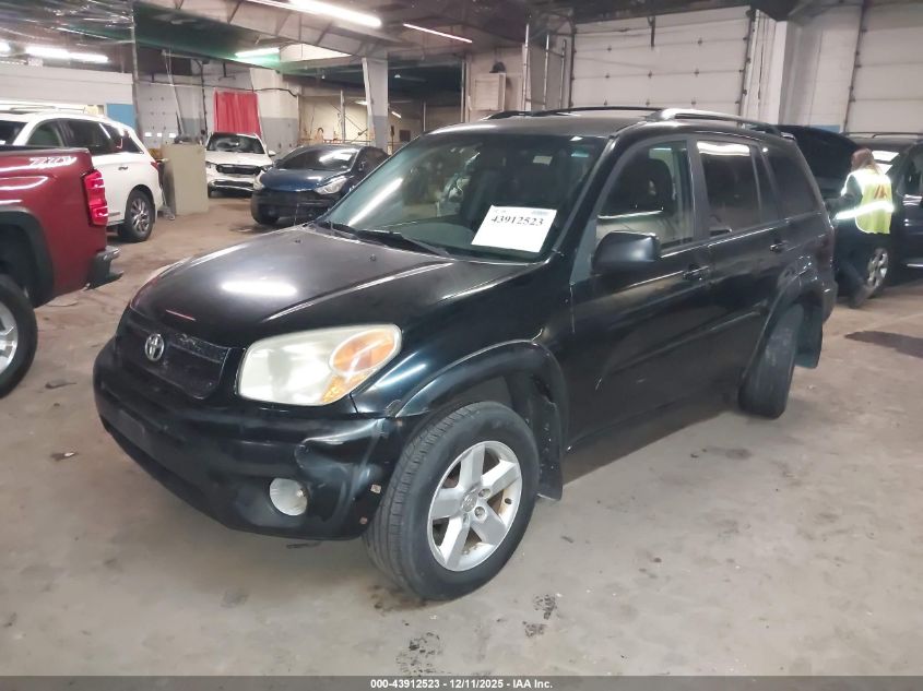 2004 Toyota Rav4 VIN: JTEHD20V446005618 Lot: 43912523