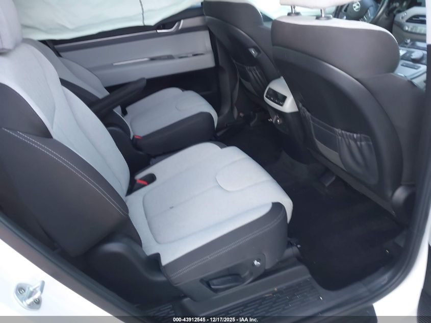 2020 Hyundai Palisade Sel VIN: KM8R3DHE6LU082329 Lot: 43912545