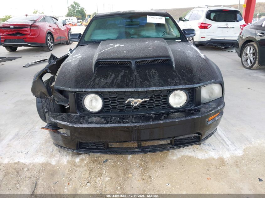 2005 Ford Mustang VIN: 1ZVFT82H855164493 Lot: 43912586