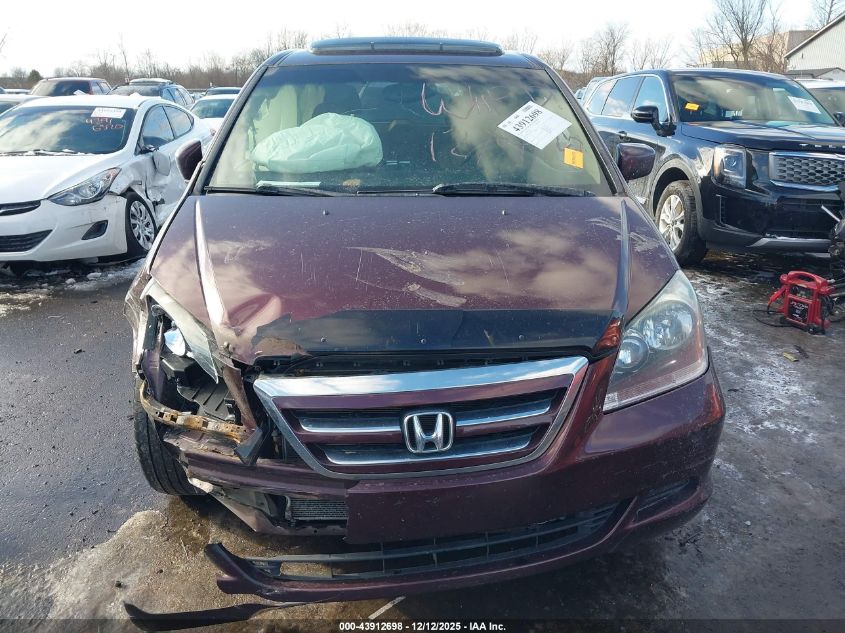 2007 Honda Odyssey Ex-L VIN: 5FNRL38717B448499 Lot: 43912698